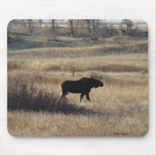 M5 Bull Moose Mouse Pad