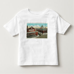 MA Avenue View of Symphony, Horticultural Toddler T-Shirt