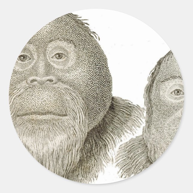 Ma & Pa - THE BABOON COUPLE Classic Round Sticker (Front)