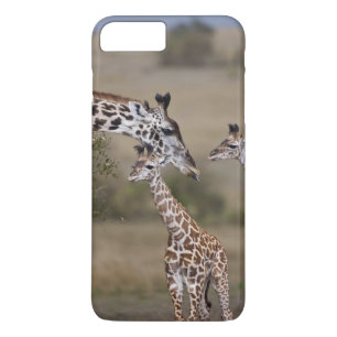 Maasai Giraffe (Giraffe Tippelskirchi) Case-Mate iPhone Case