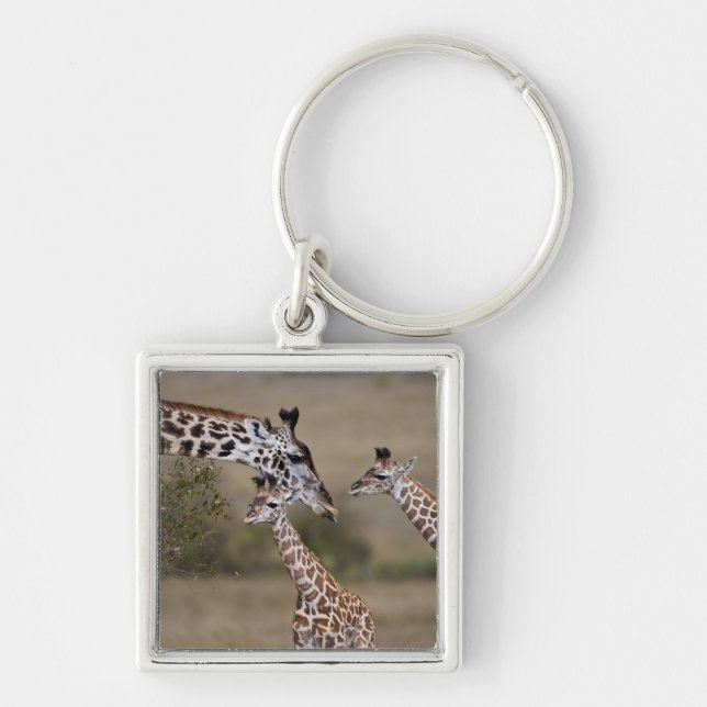 Maasai Giraffe (Giraffe Tippelskirchi) Key Ring (Front)
