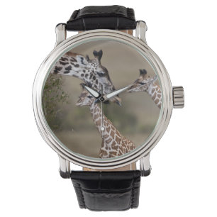 Maasai Giraffe (Giraffe Tippelskirchi) Watch