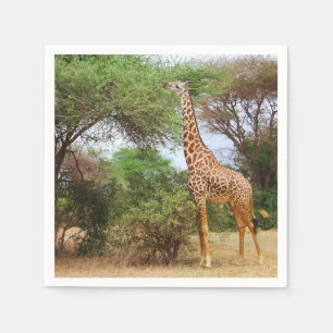 Maasai Giraffe Napkin