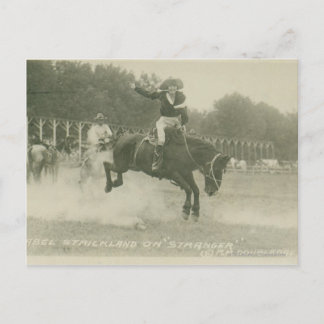 Mabel Strickland on Stranger. Postcard
