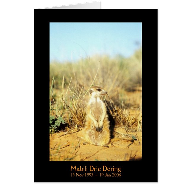 Mabili - Legends Card (Front)