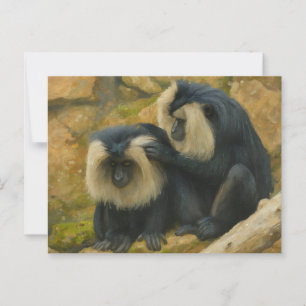 Macaque Bond – Grooming Ritual Postcard