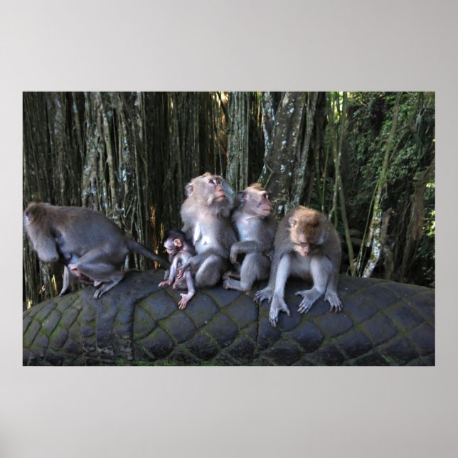 Macaque Family Poster (Front)