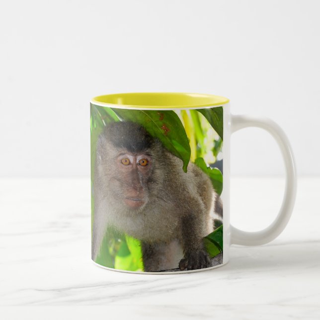Macaque Monkeys mug (Right)
