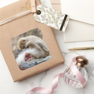 Macaque Pair - Quiet Moment Square Sticker