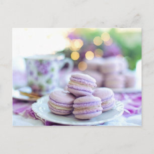 Macarons Postcard