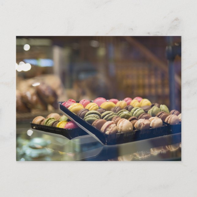 Macaroons in Show Window 2 Postcard (Front)