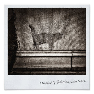 Macavity's Not There Photo Print