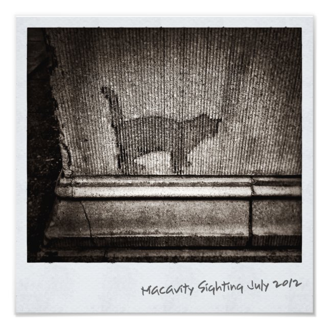 Macavity's Not There Photo Print (Front)