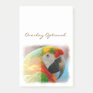 Macaw 1B Post-it Notes