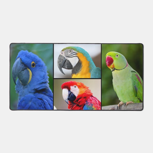 Macaw 4 Photo Collage Custom Monogram Desk Mat (Front)