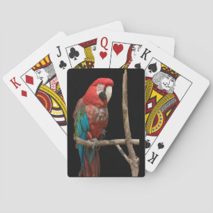 Macaw 52 Deck Playing Cards
