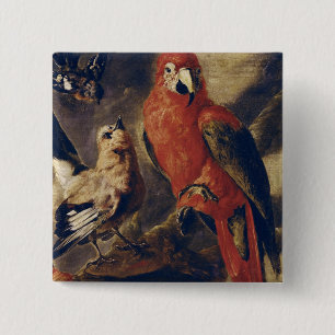 Macaw and Bullfinch 15 Cm Square Badge