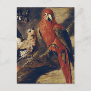 Macaw and Bullfinch Postcard