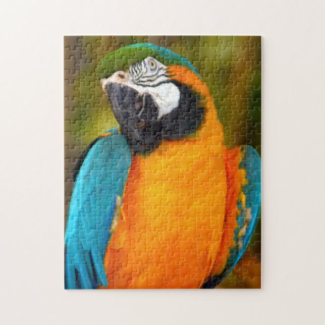 Macaw Bird Puzzle (Vertical)