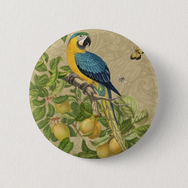 Macaw Blue Yellow Tropical Jungle Antique 6 Cm Round Badge (Front)