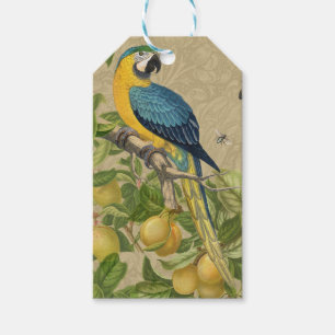 Macaw Blue Yellow Tropical Jungle Antique Gift Tags
