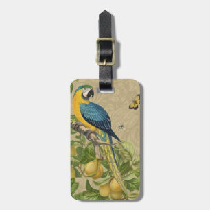 Macaw Blue Yellow Tropical Jungle Antique Luggage Tag