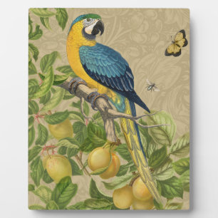 Macaw Blue Yellow Tropical Jungle Antique Plaque