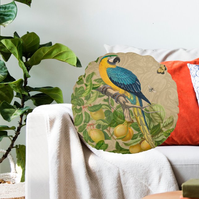 Macaw Blue Yellow Tropical Jungle Antique Round Cushion (Blue and Yellow Macaw)