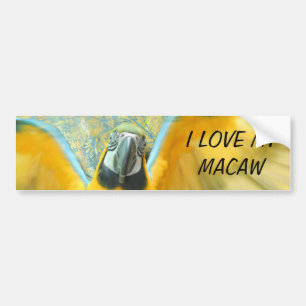 Macaw Bumper Sticker