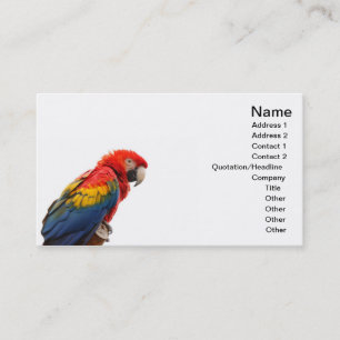 macaw business card