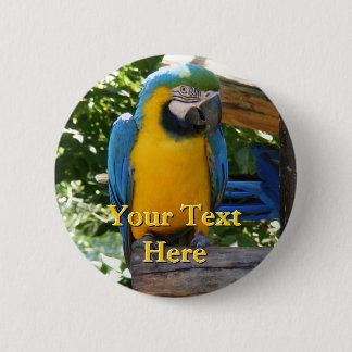 Macaw Button