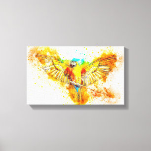Macaw Canvas Print