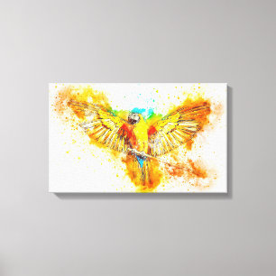 Macaw Canvas Print
