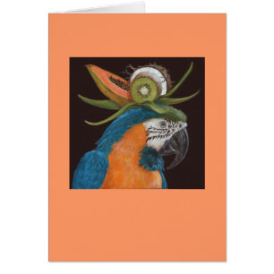 macaw card