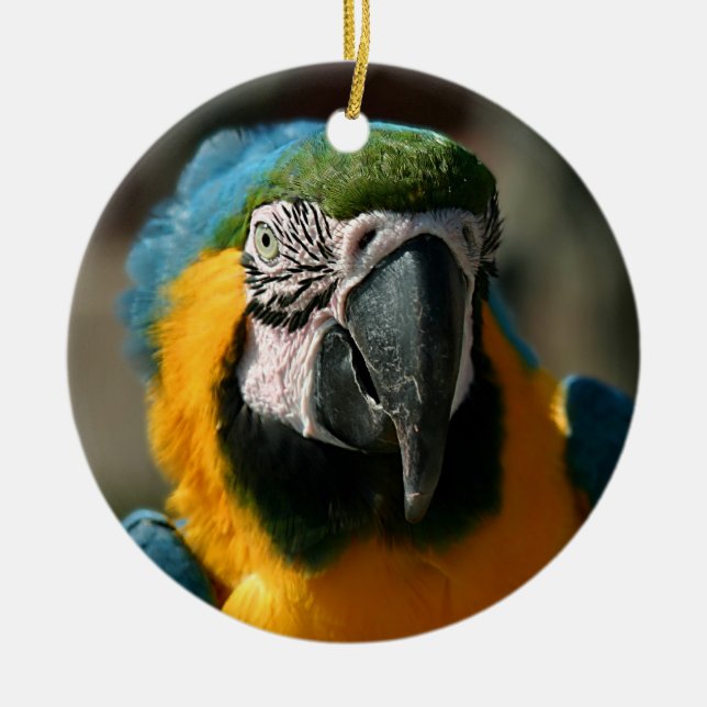 Macaw Ceramic Tree Decoration (Front)