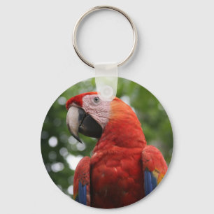 macaw face key ring