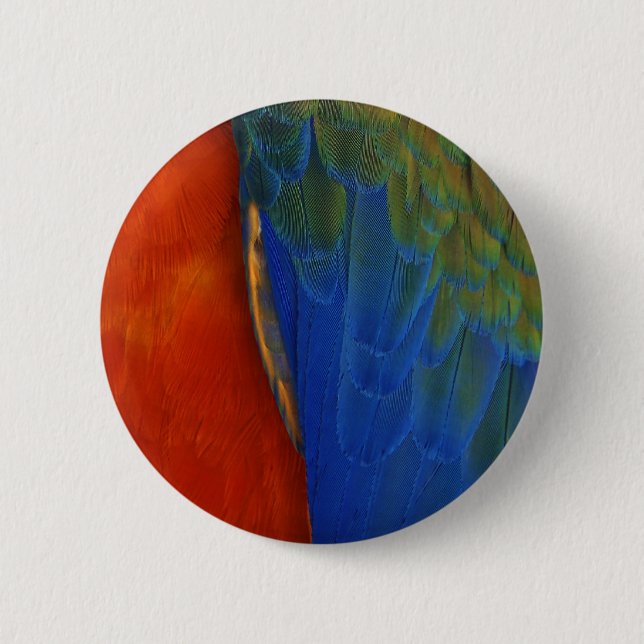 Macaw Feathers 6 Cm Round Badge (Front)