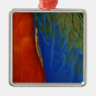 Macaw Feathers Metal Tree Decoration