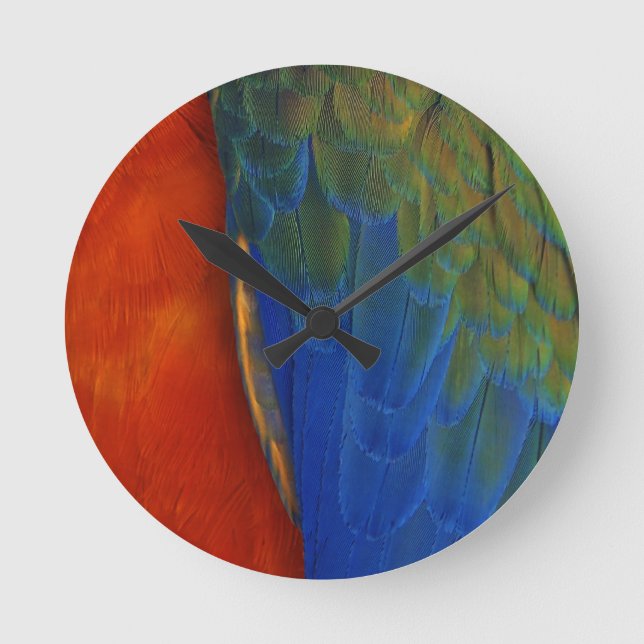 Macaw Feathers Round Clock (Front)