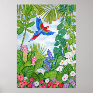 Macaw in Flight Poster