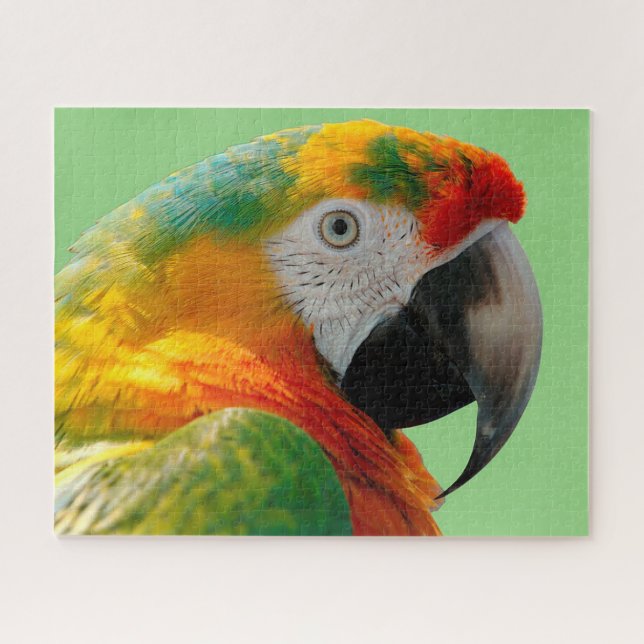 Macaw Jigsaw Puzzle (Horizontal)
