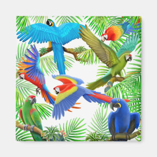 Macaw Jungle Magnet