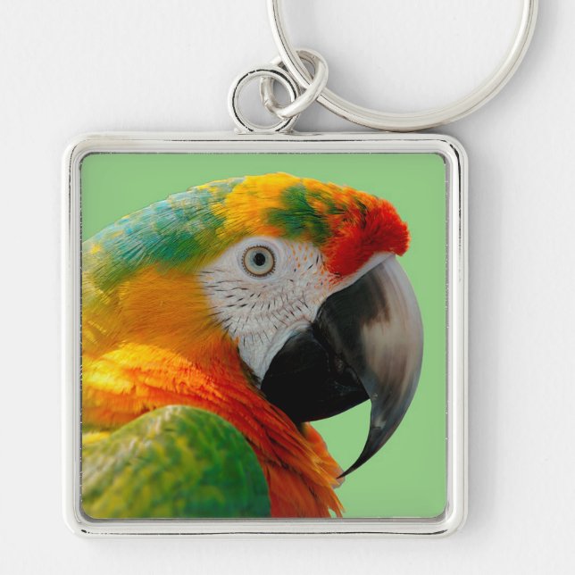 Macaw Key Ring (Front)