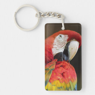 Macaw Key Ring