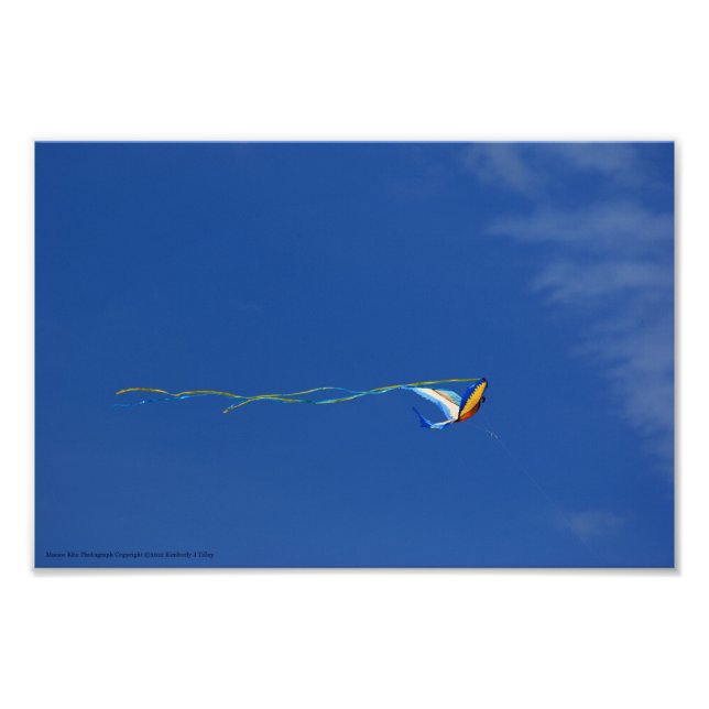 Macaw Kite Photo Print (Front)