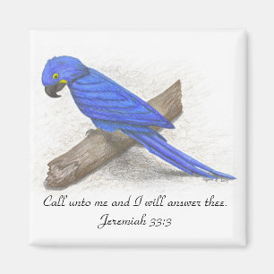 Macaw Magnet