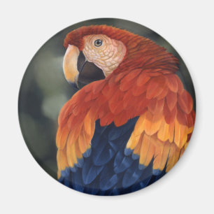 Macaw Magnet