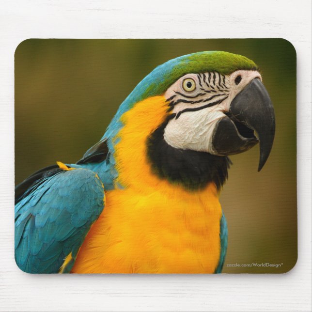 macaw mouse pad (Front)