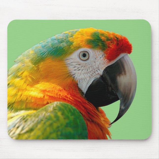 Macaw Mouse Pad (Front)