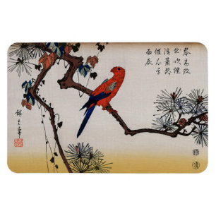 Macaw on Pine Branch, Hiroshige Magnet